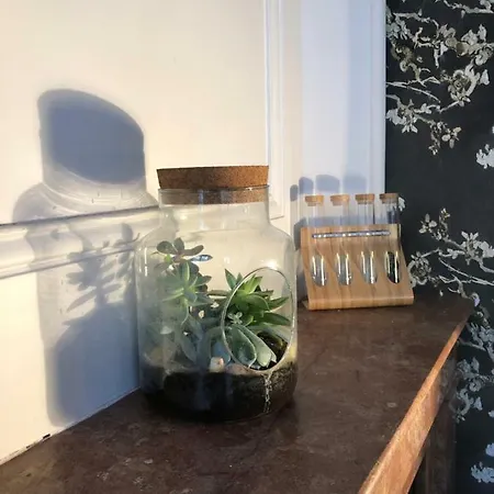 Apartment Loft Du Passage Lyon