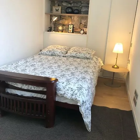 Apartment Loft Du Passage Lyon